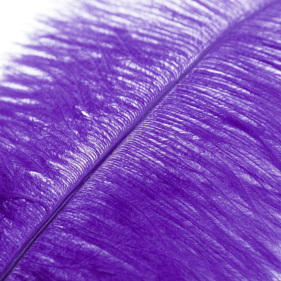 Ostrich Feather Plume 60-70cm
