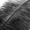Ostrich Feather Plume 40-50cm