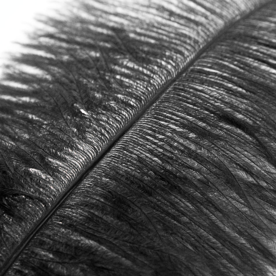 Ostrich Feather Plume 40-50cm