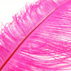 Ostrich Feather Plume 50-60cm