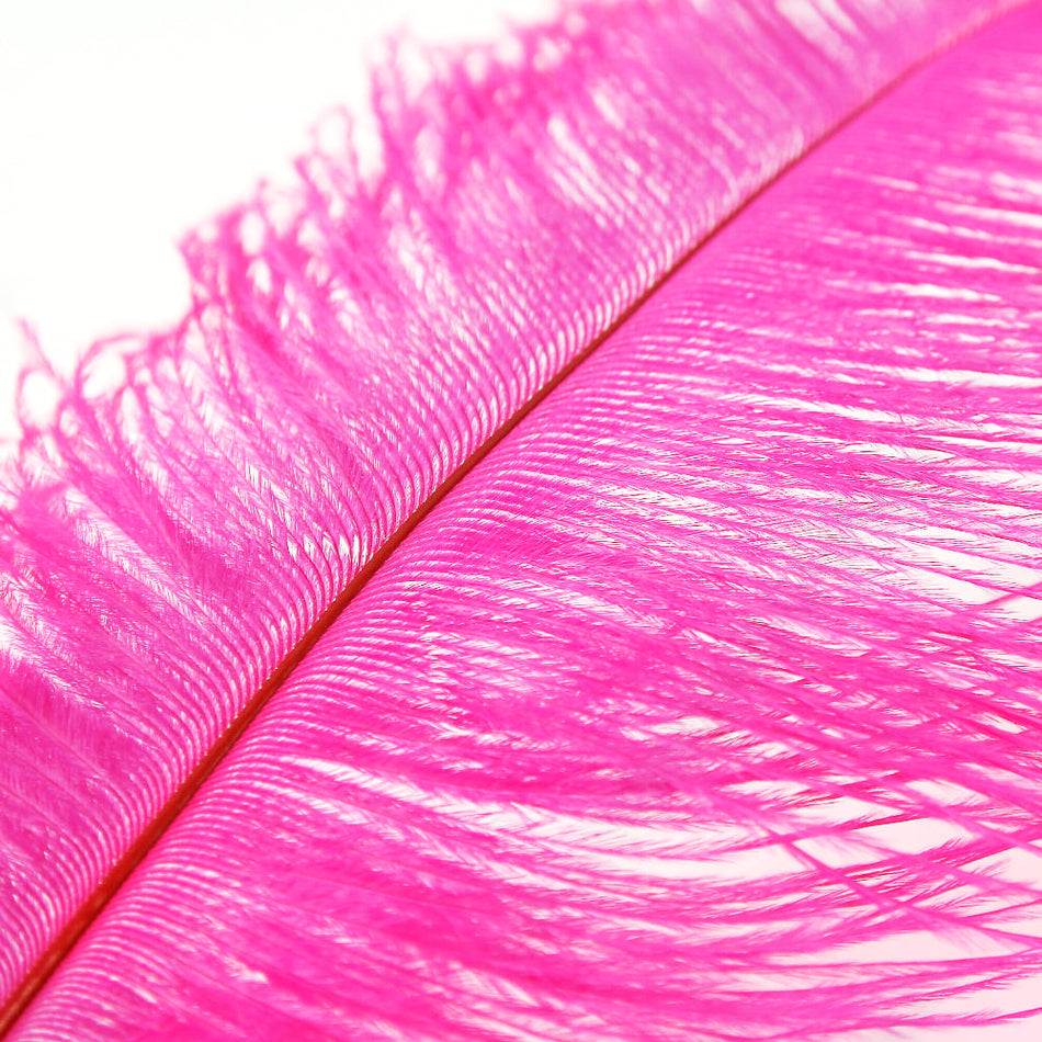 Ostrich Feather Plume 50-60cm