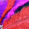 Ostrich Feather Plume 50-60cm