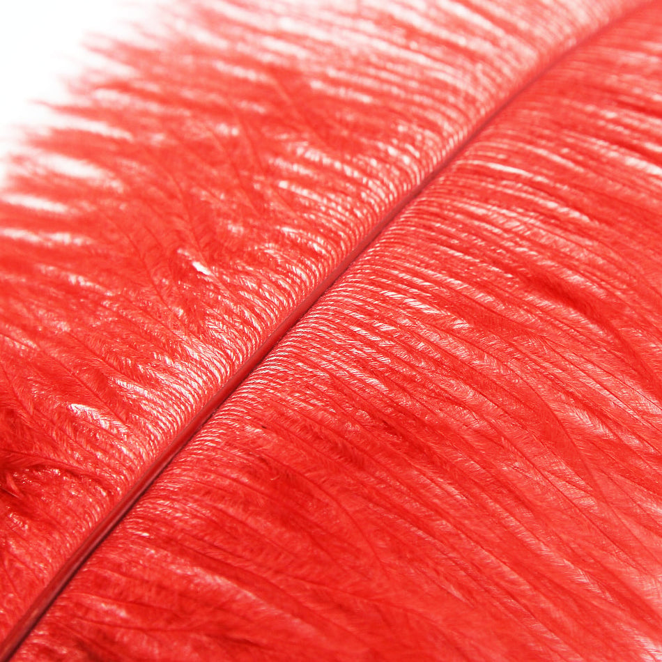 Ostrich Feather Plume 50-60cm