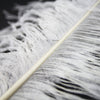 Ostrich Feather Plume 50-60cm