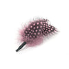 Guinea Fowl Feather Bunch