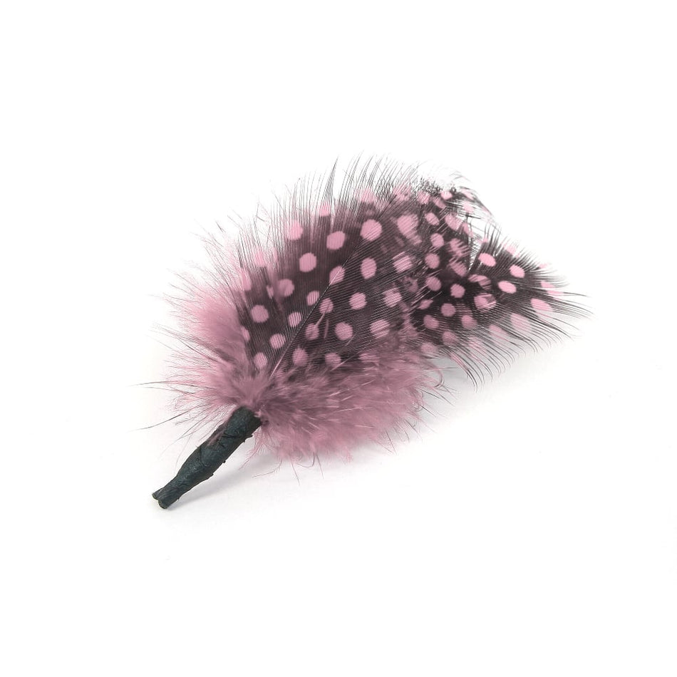 Guinea Fowl Feather Bunch