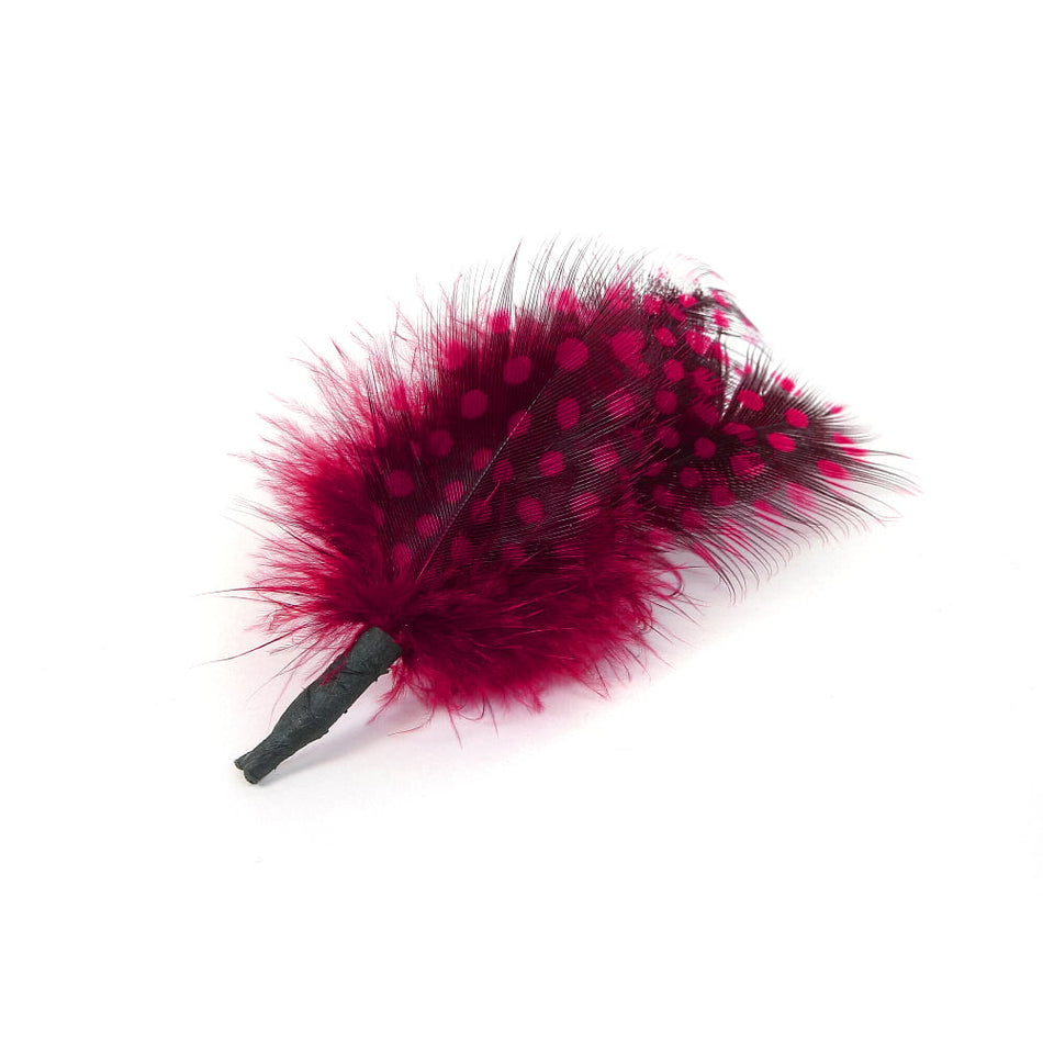 Guinea Fowl Feather Bunch