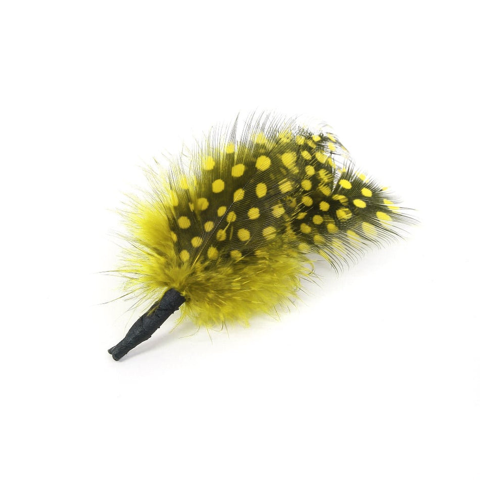 Guinea Fowl Feather Bunch