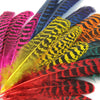 Peacock Feather Quill - 10-20cm (10 Pack)