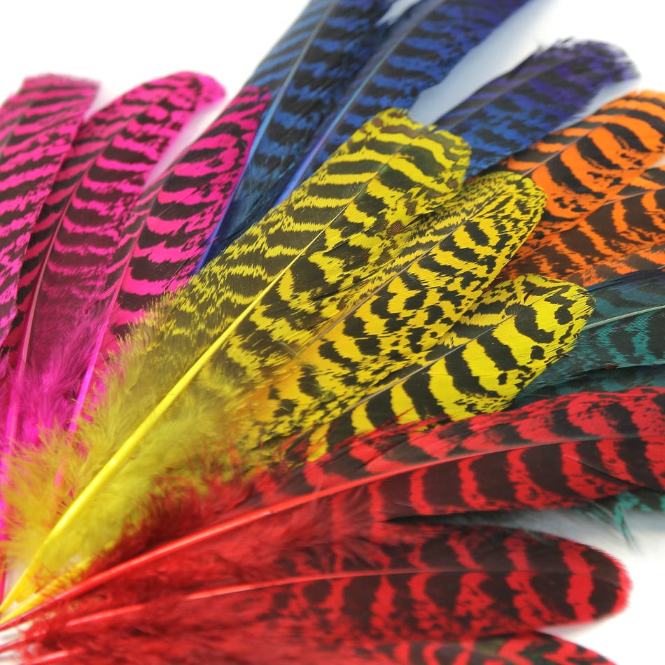 Peacock Feather Quill - 10-20cm (10 Pack)