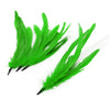 Coque Feather Bunch