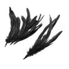 Coque Feather Bunch
