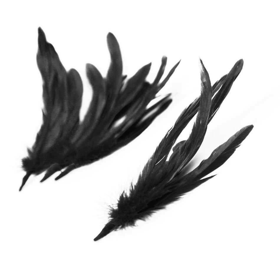 Coque Feather Bunch