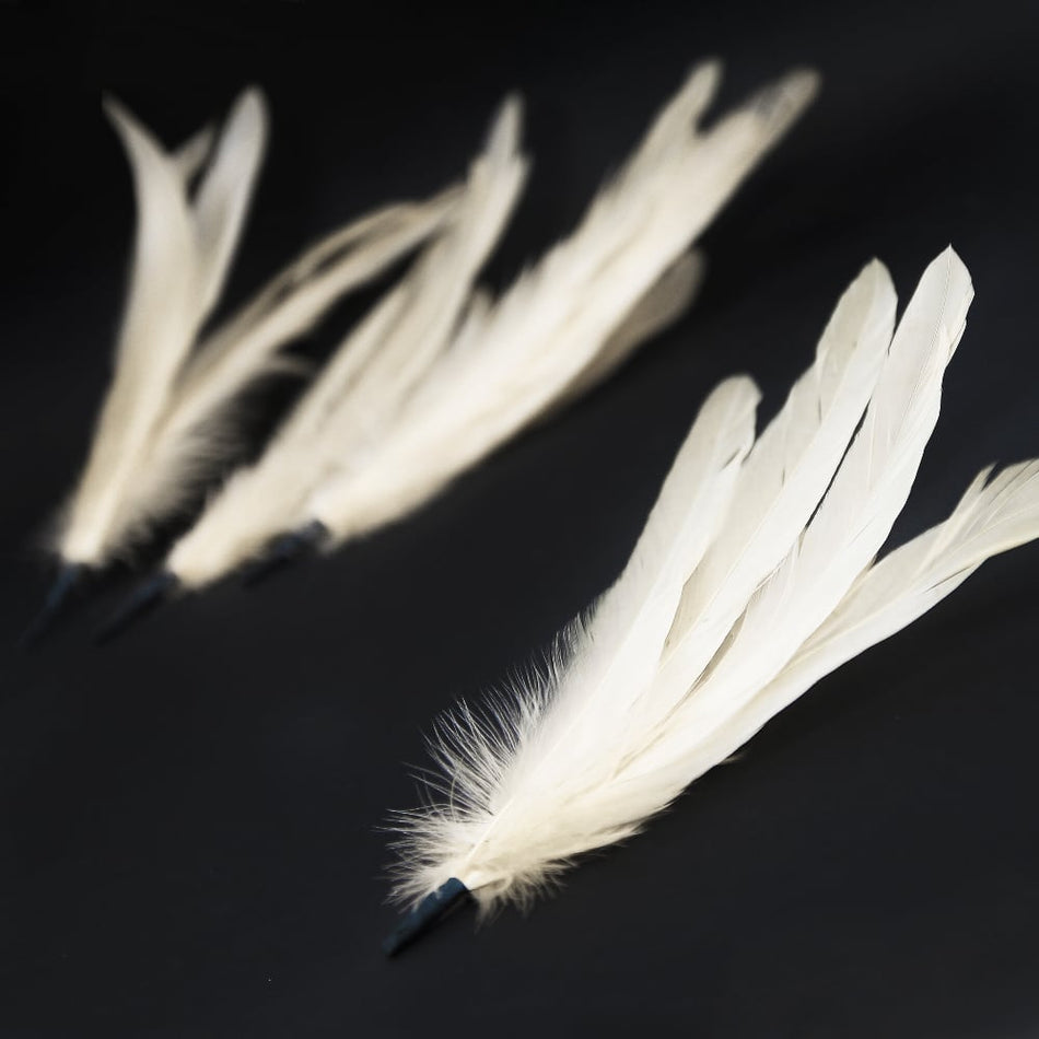 Coque Feather Bunch