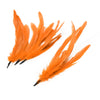 Coque Feather Bunch