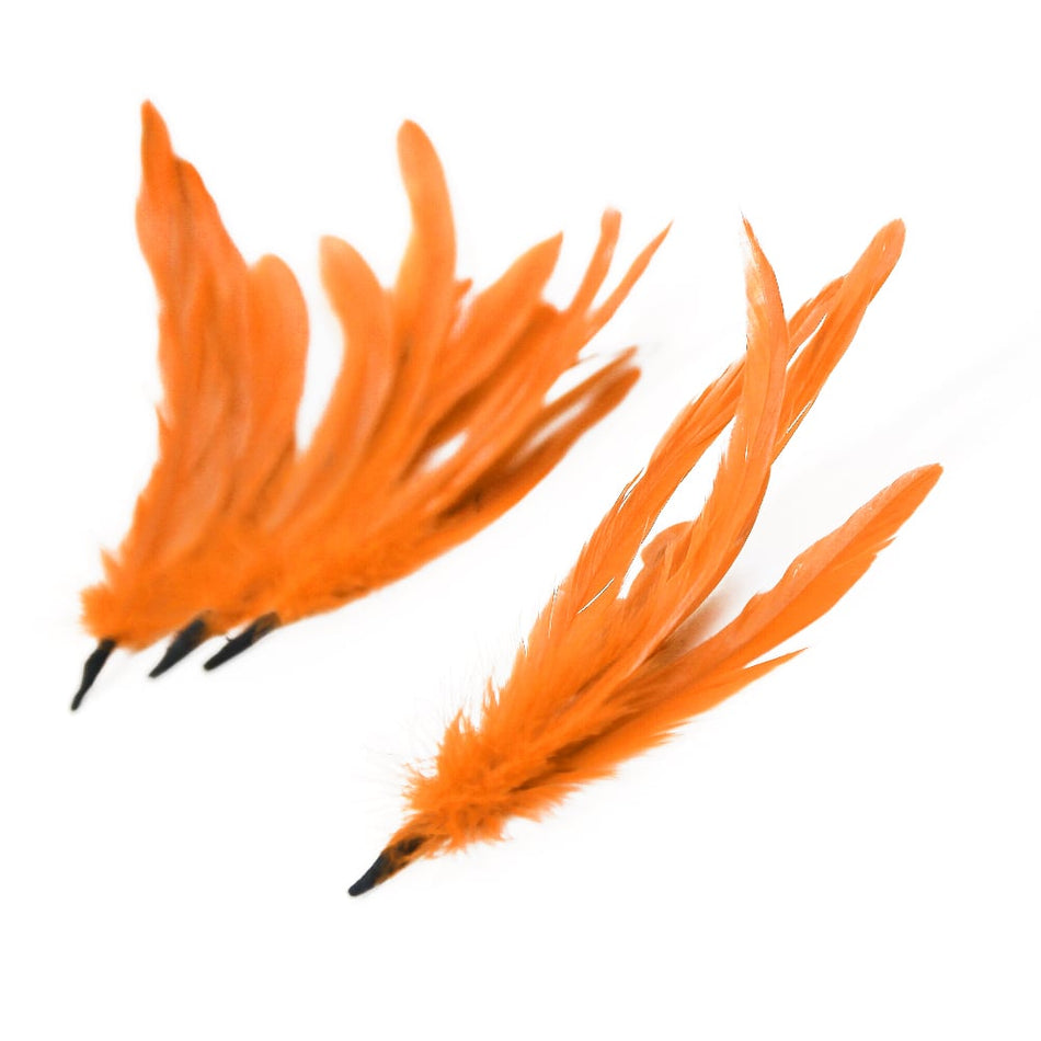 Coque Feather Bunch