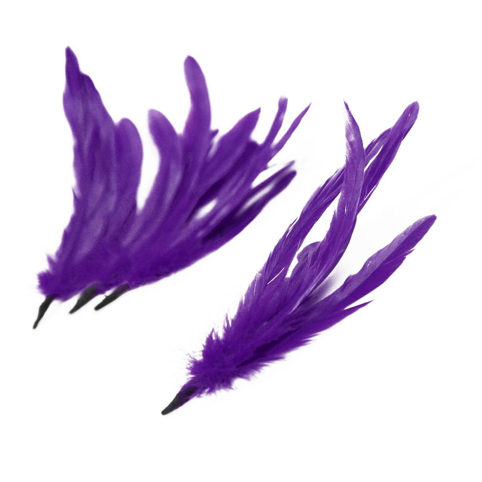 Coque Feather Bunch