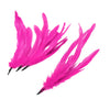 Coque Feather Bunch