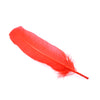Turkey Feather - Quill