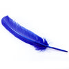 Turkey Feather - Quill