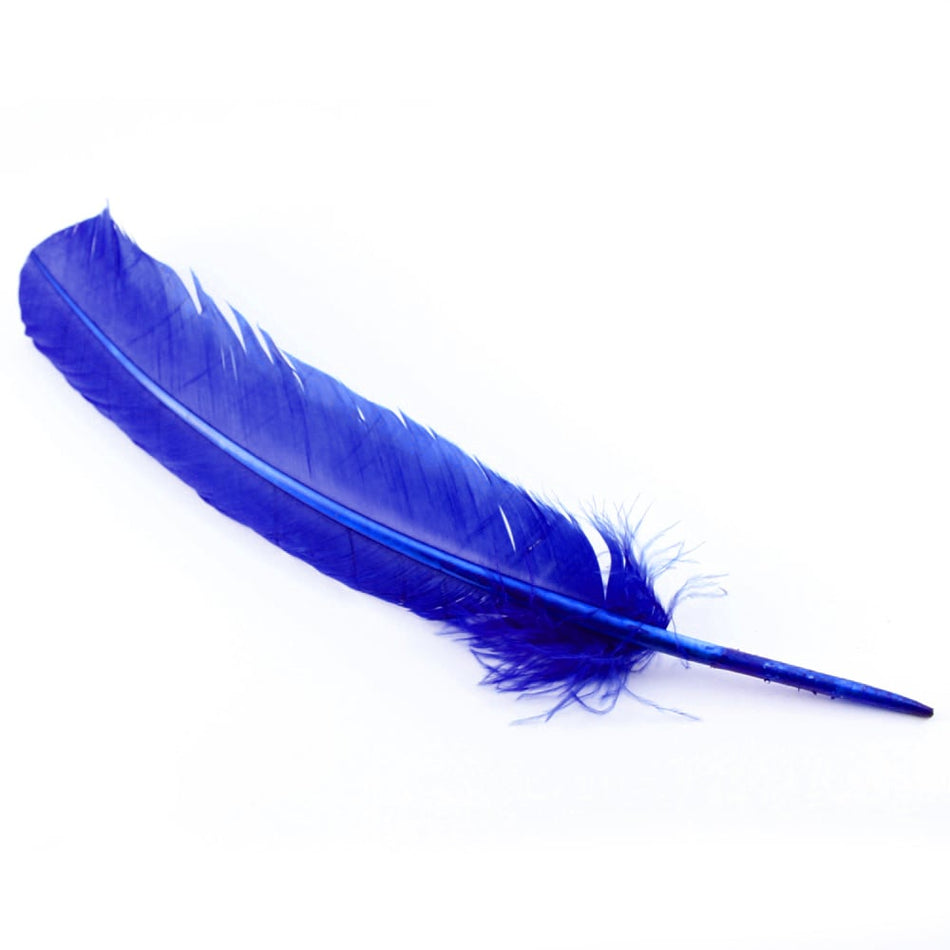 Turkey Feather - Quill