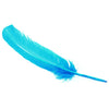 Turkey Feather - Quill