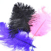 Ostrich Feather Plume 50-60cm