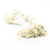 Flower Stamens Pearl