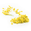 Flower Stamens Pearl