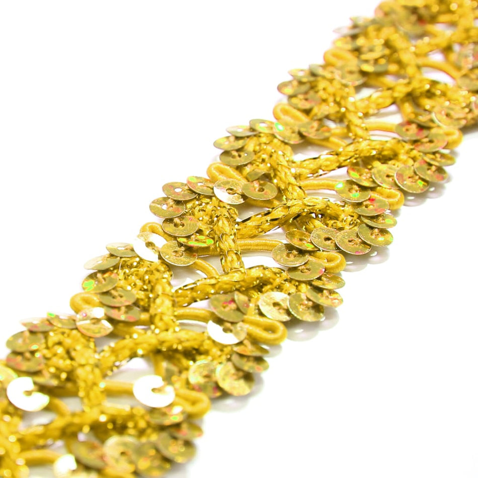 Criss-Cross Sequin Stretch Trim w Tinsel Braid