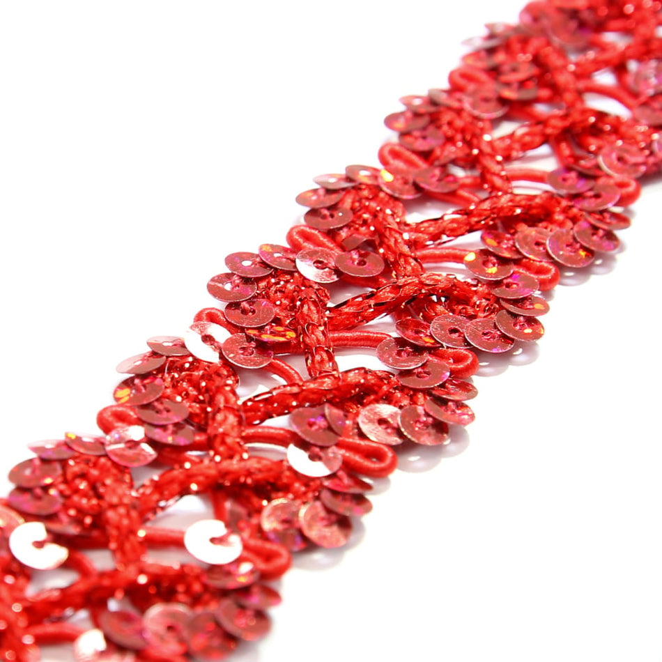 Criss-Cross Sequin Stretch Trim w Tinsel Braid