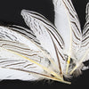 Feather Pheasant Silver Tail