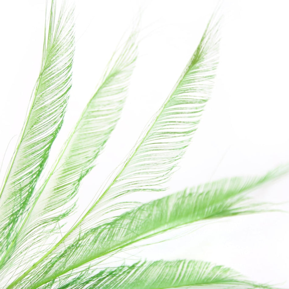 Peacock Feather Sword (3 Pack)