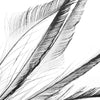 Peacock Feather Sword (3 Pack)