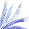 Peacock Feather Sword (3 Pack)