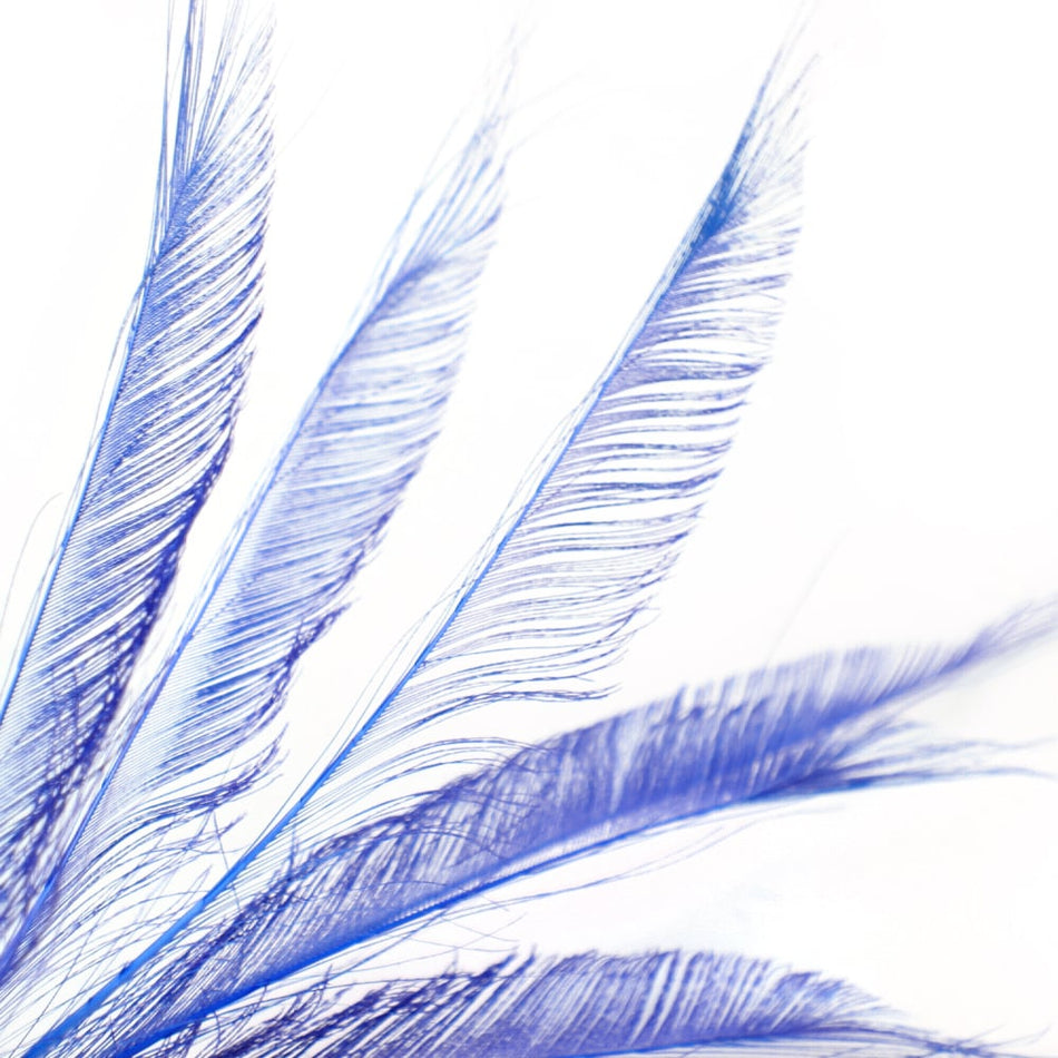 Peacock Feather Sword (3 Pack)