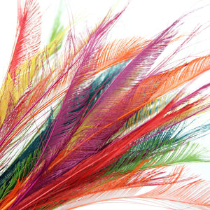 Peacock Feather Sword (3 Pack)