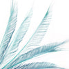 Peacock Feather Sword (3 Pack)
