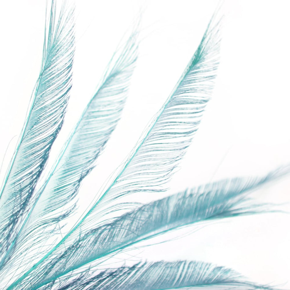 Peacock Feather Sword (3 Pack)