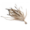 Emu Feather Bunch