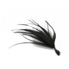 Emu Feather Bunch