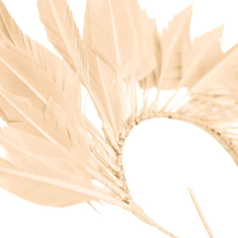Feather Wire Mount - Coque Feather Spray - Diamond Tail