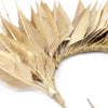 Feather Wire Mount - Coque Feather Spray - Diamond Tail