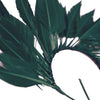 Feather Wire Mount - Coque Feather Spray - Diamond Tail