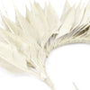 Feather Wire Mount - Coque Feather Spray - Diamond Tail