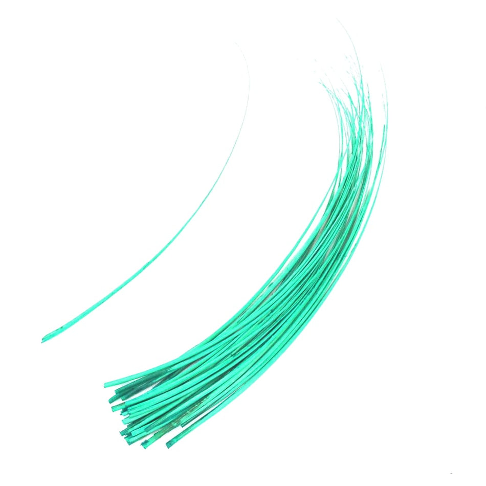 Ostrich Feather Quill Spine