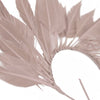 Feather Wire Mount - Coque Feather Spray - Diamond Tail