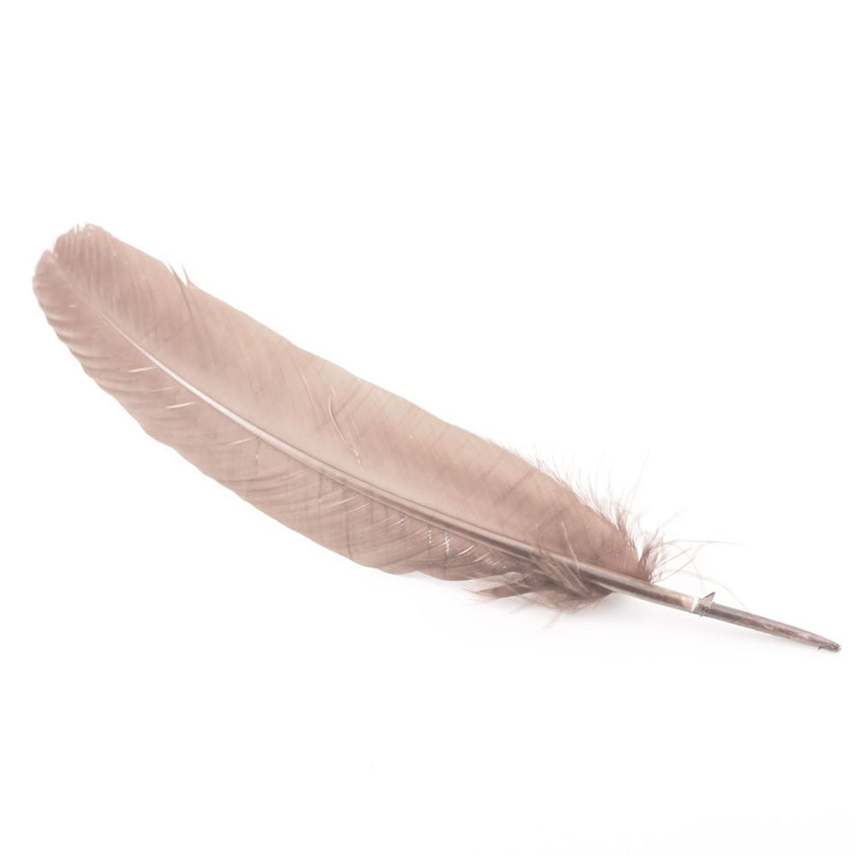 Turkey Feather - Quill