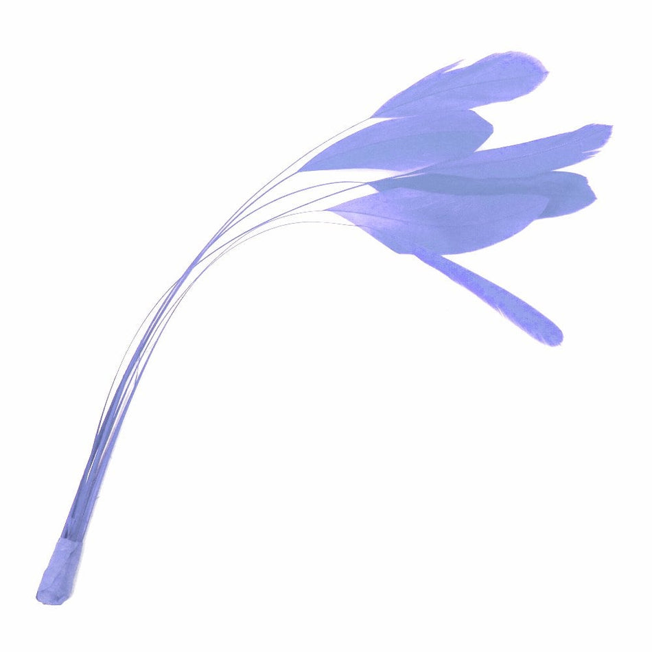 Stripped Coque Feather Bunch