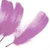 Goose Nagoire Feather (24 Pack)